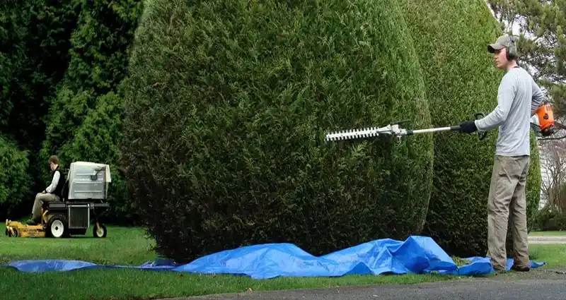 Entretien des espaces verts